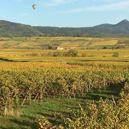 Au Domaine Greiner Holiday home Mittelwihr