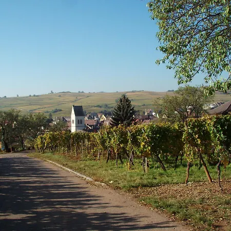 Au Domaine Greiner Holiday home Mittelwihr