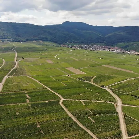 Au Domaine Greiner Hébergement de vacances *