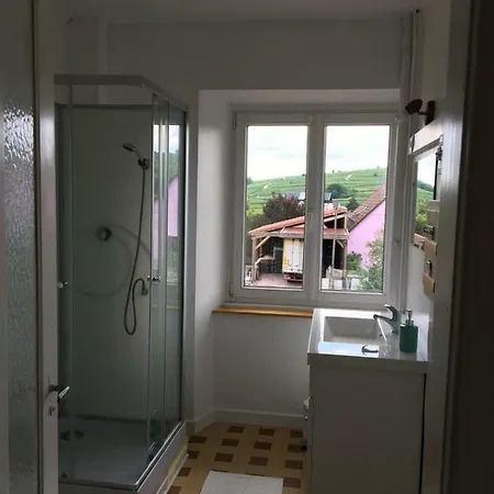 Holiday home Au Domaine Greiner Mittelwihr